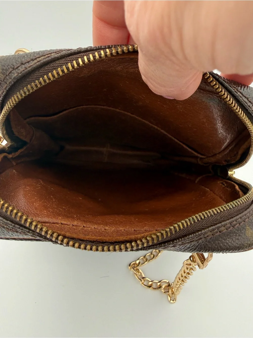 Louis Vuitton Amazon Monogram Crossbody Bag | Authentic | Vintage